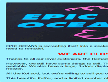 Tablet Screenshot of epicoceans.com
